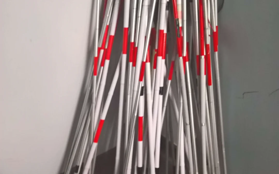 Image with lots of white canes